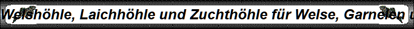 Welshhle, Laichhhle und Zuchthhle fr Welse, Garnelen und Krebse.